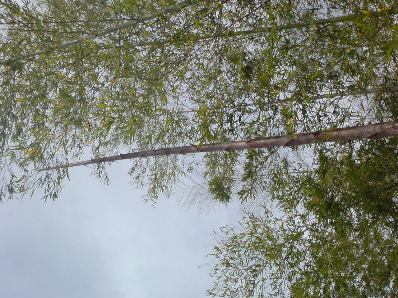 20100515153635.jpg