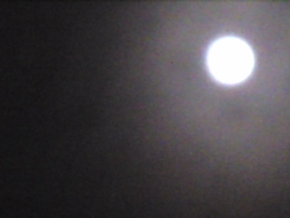 image1456.jpg