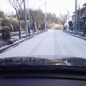 s003.jpg