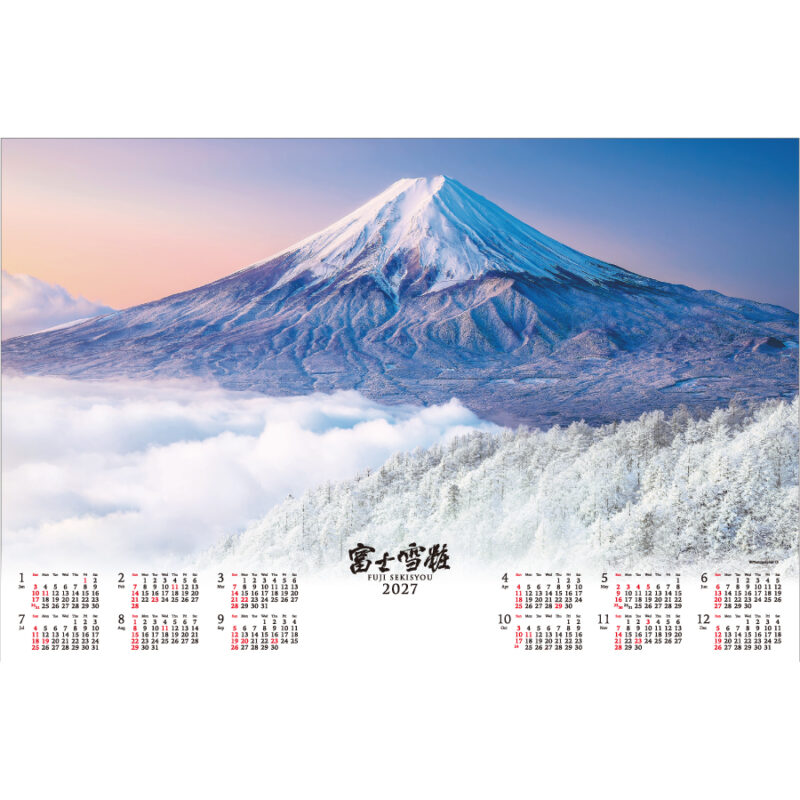 【超早割】【不織布】富士雪粧