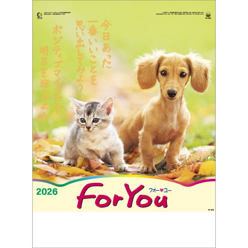 FOR YOU (フォー・ユー)