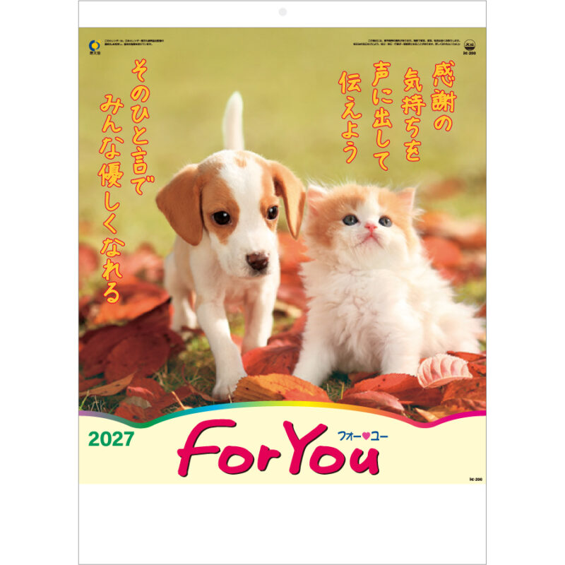 【超早割】FOR YOU (フォー・ユー)