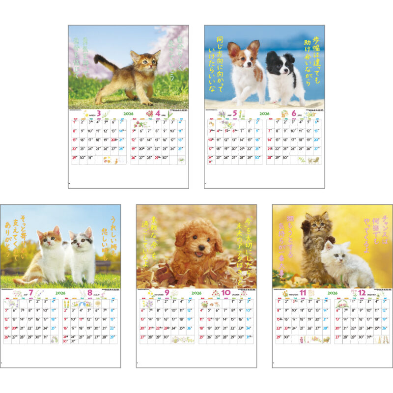 FOR YOU (フォー・ユー)（3）