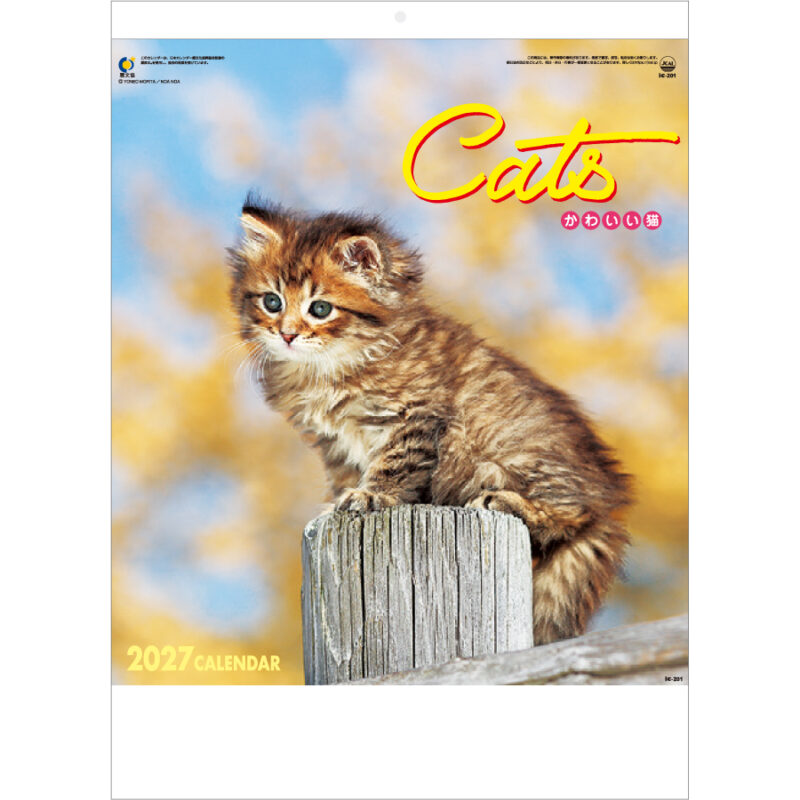 【超早割】かわいい猫