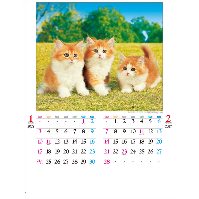 【超早割】かわいい猫（2）