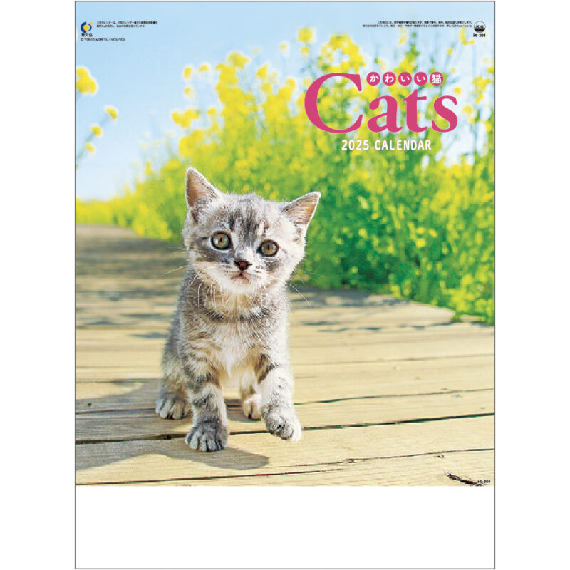 かわいい猫