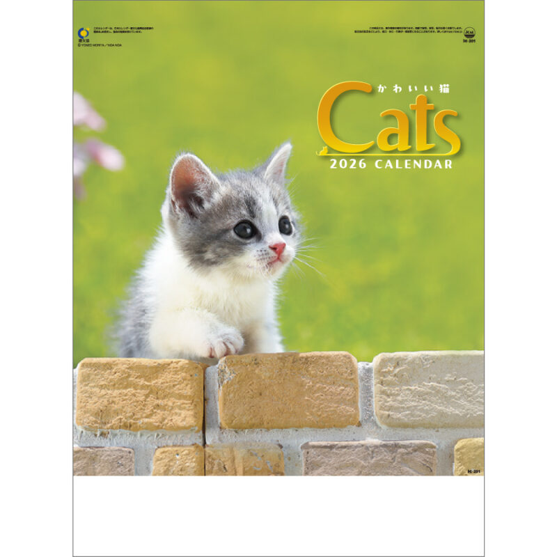 かわいい猫