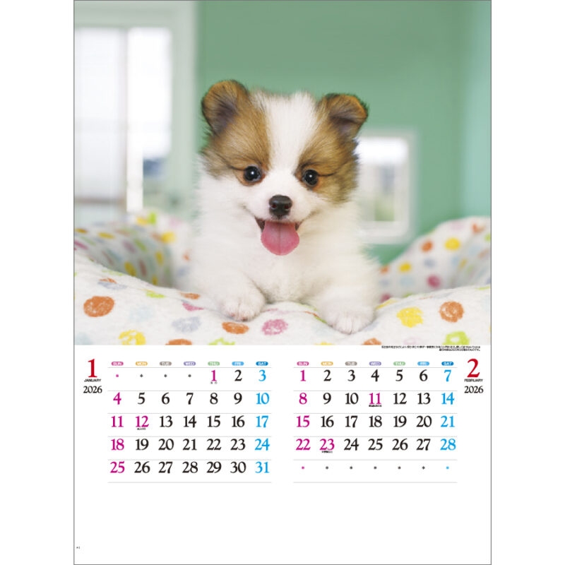 かわいい犬（2）