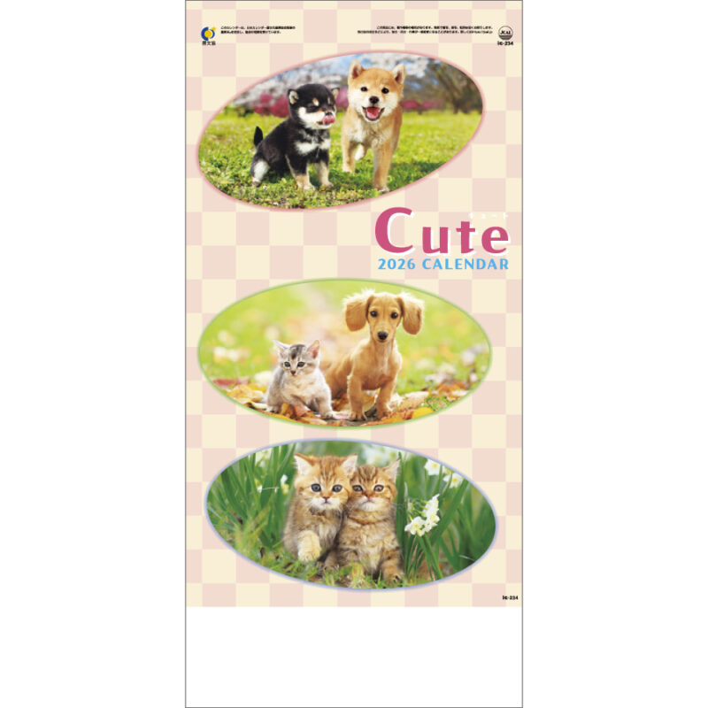 キュート(CUTE)