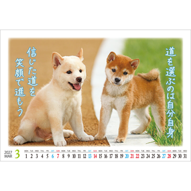 【超早割】卓上 すまいる（2）