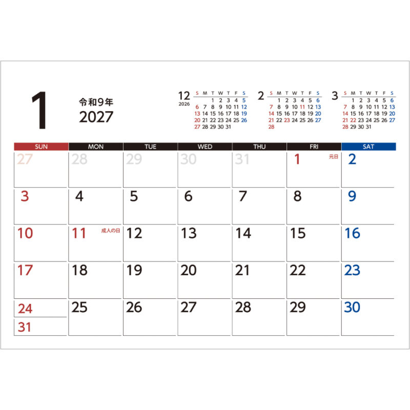 【超早割】Basicplan LARGE エコ（2）