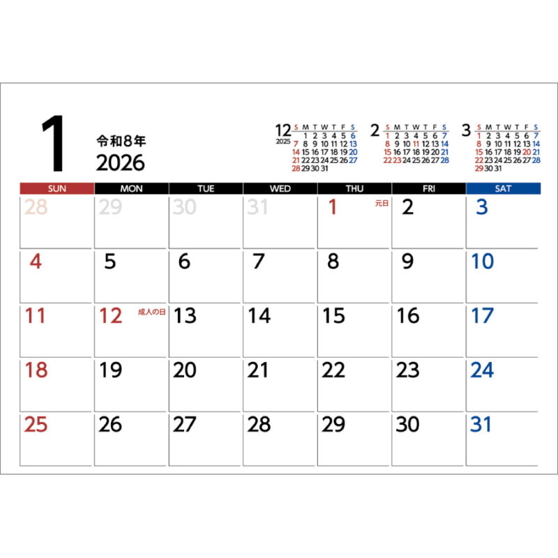 Basicplan LARGE　エコ（2）