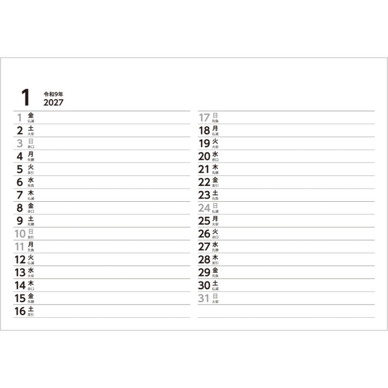 【超早割】Basicplan LARGE エコ（3）