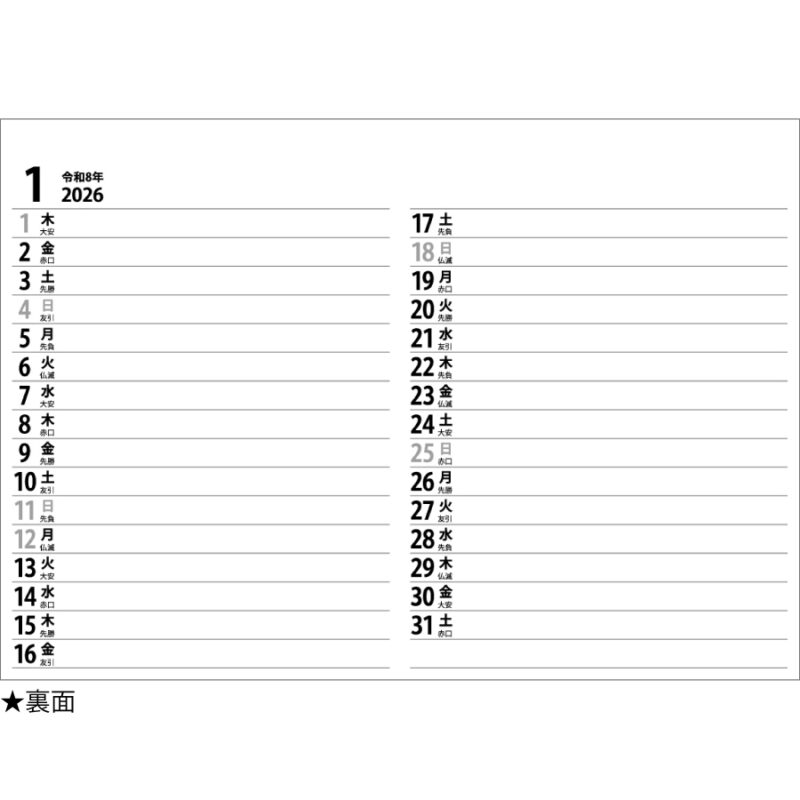Basicplan LARGE（3）