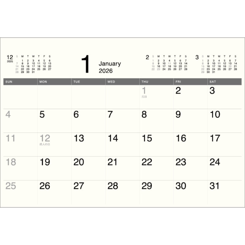 Basicplan MONO（2）
