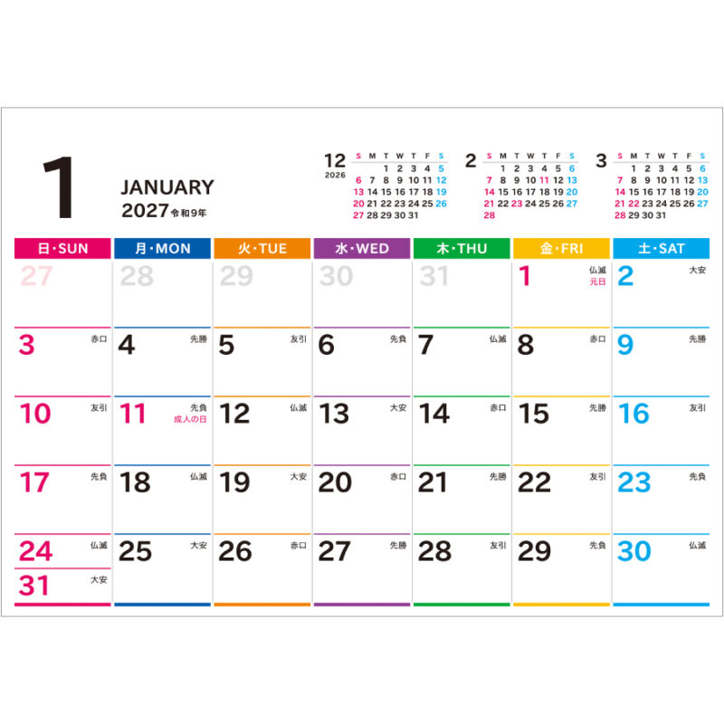 【超早割】Basicplan LARGE COLOR（2）