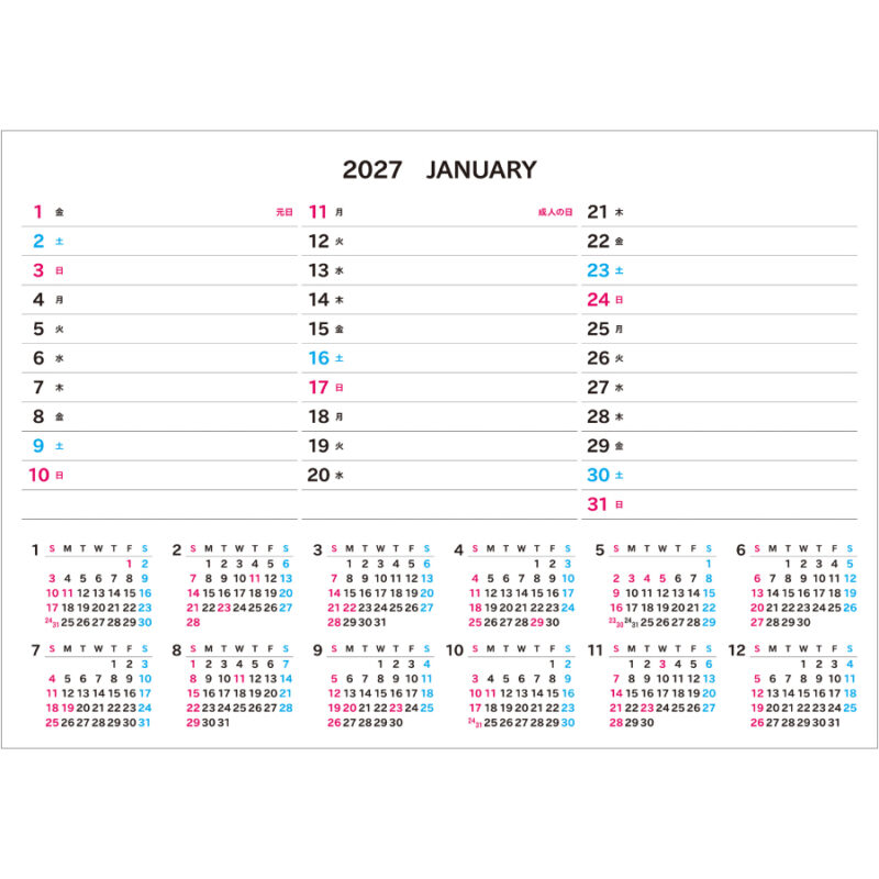【超早割】Basicplan LARGE COLOR（3）
