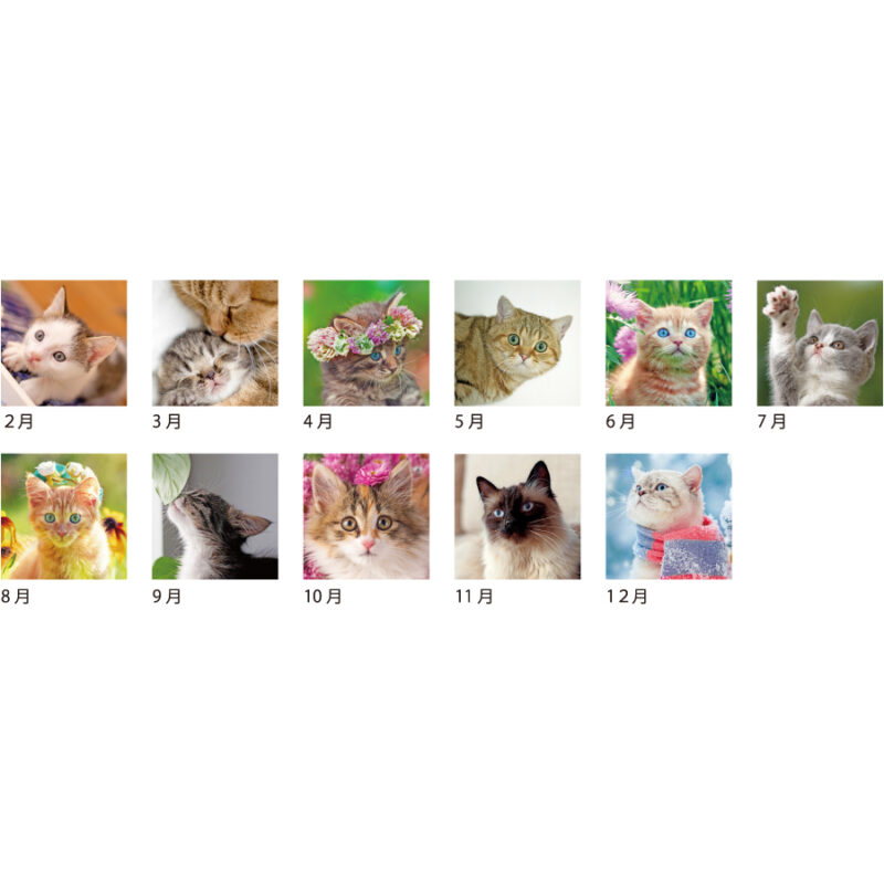 【超早割】キャットデスクカレンダー（3）