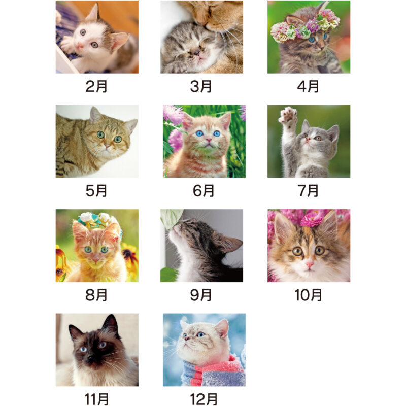 【超早割】ラブリーキャット（3）