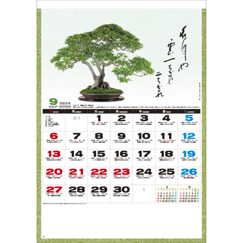 一木一草（2）