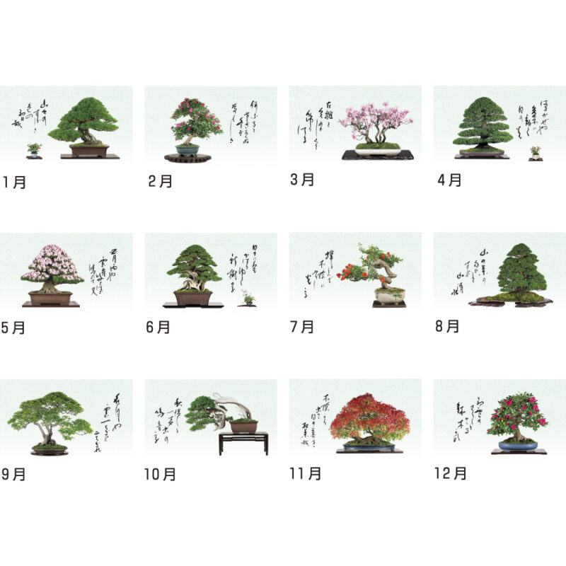 一木一草（3）