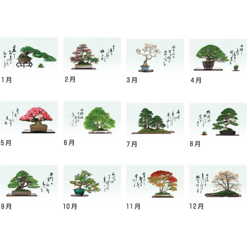 【超早割】一木一草（3）