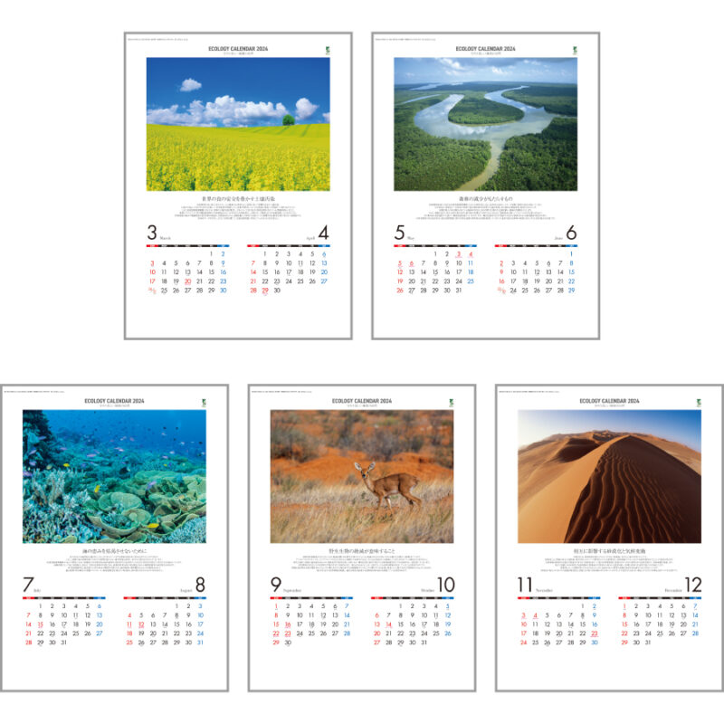 エコロジーカレンダー（3）