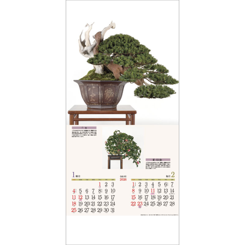銘樹 (盆栽)（2）