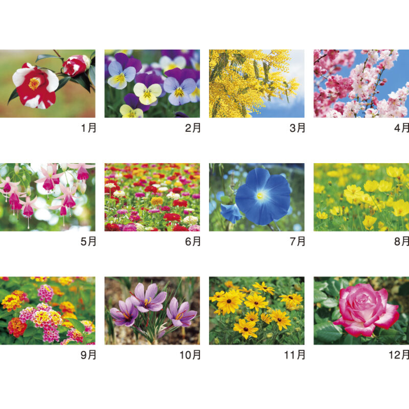 花ことばと文字（3）