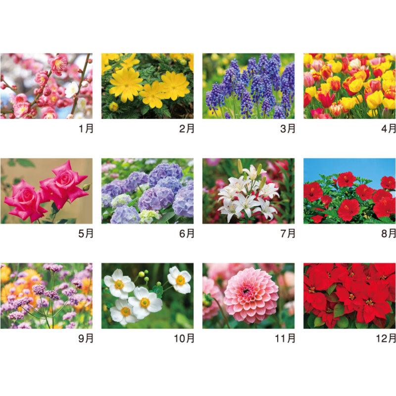【超早割】花ことばと文字（3）