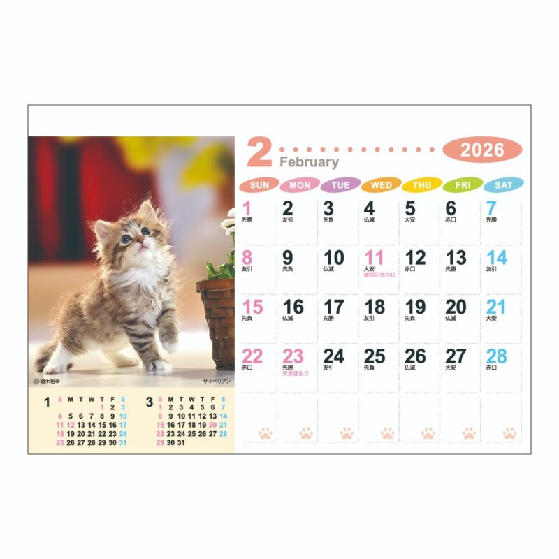 ラブリーフレンズ(犬･猫)（3）
