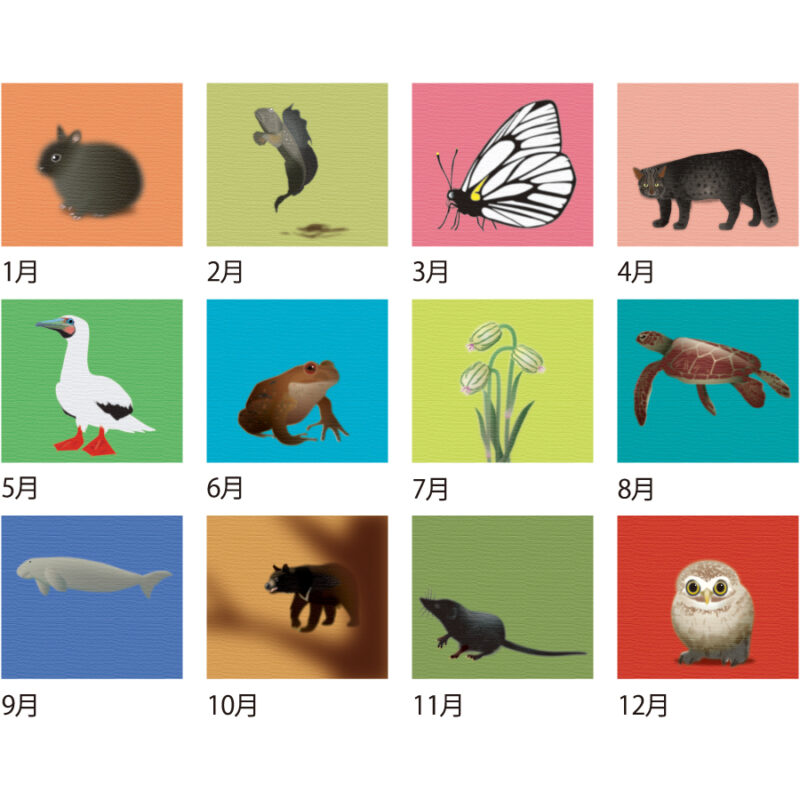 日本の絶滅危動物カレンダー　（All eco）（3）