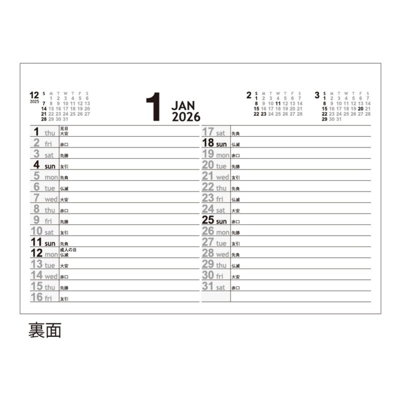 エコブラウン(大)（4）