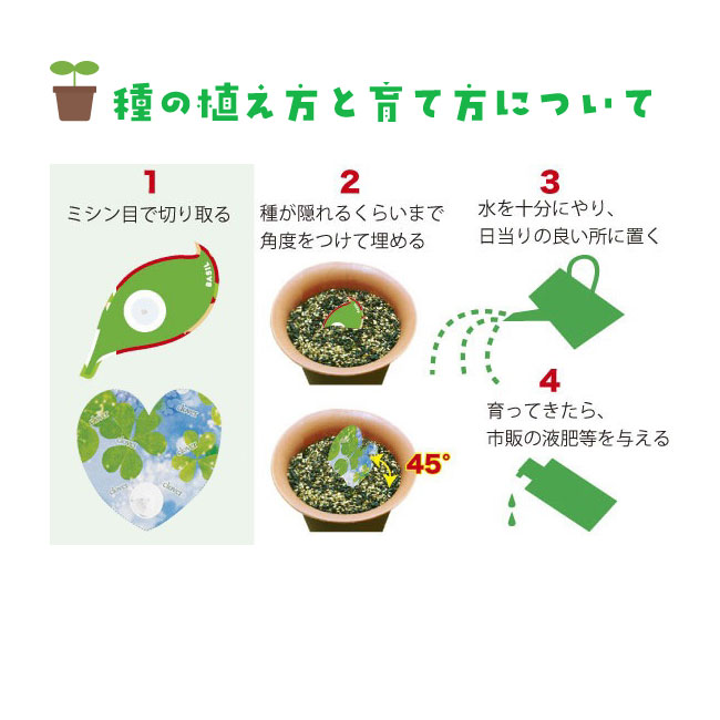種付き卓上カレンダー(バジル)（3）