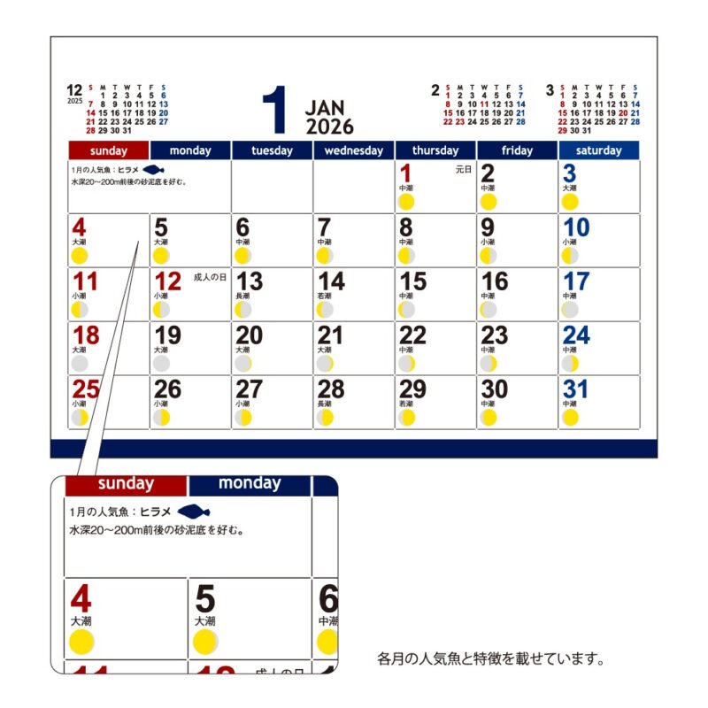 月の満ち欠けと潮回り（2）