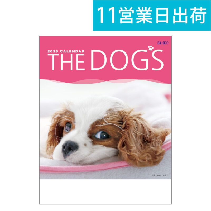 THE DOG’S(ザ･ドッグ)