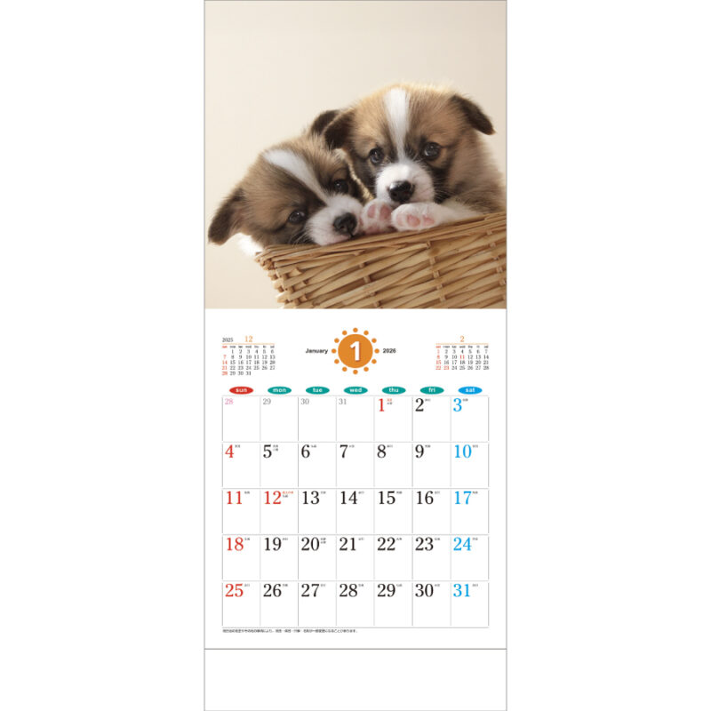 THEDOG’s(ザ･ドッグス)（2）