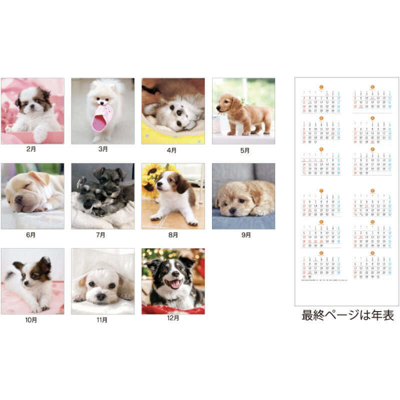 THEDOG’s(ザ･ドッグス)（3）