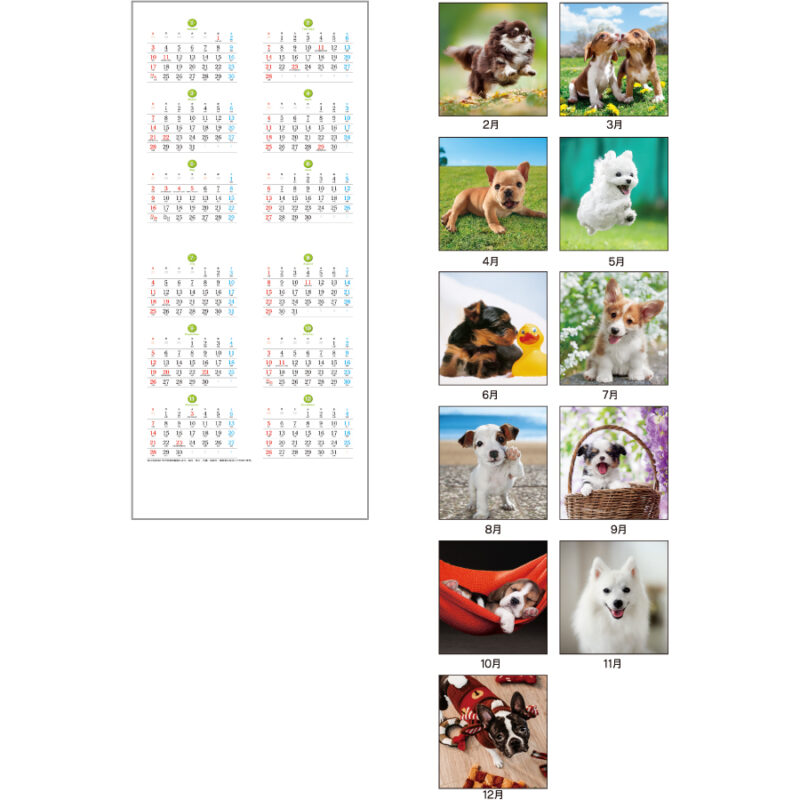 【超早割】THE DOGS（3）