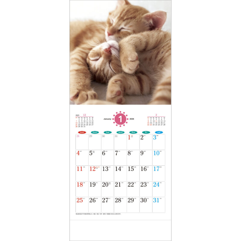THECAT’S(ザ･キャッツ)（2）