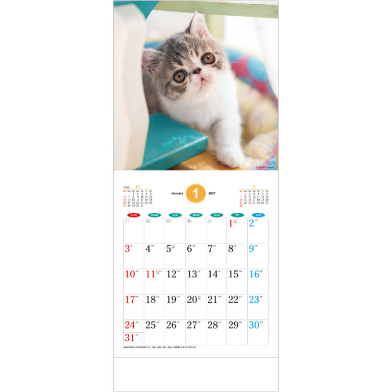 【超早割】THE CATS（2）