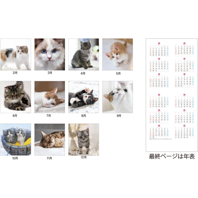 THECAT’S(ザ･キャッツ)（3）