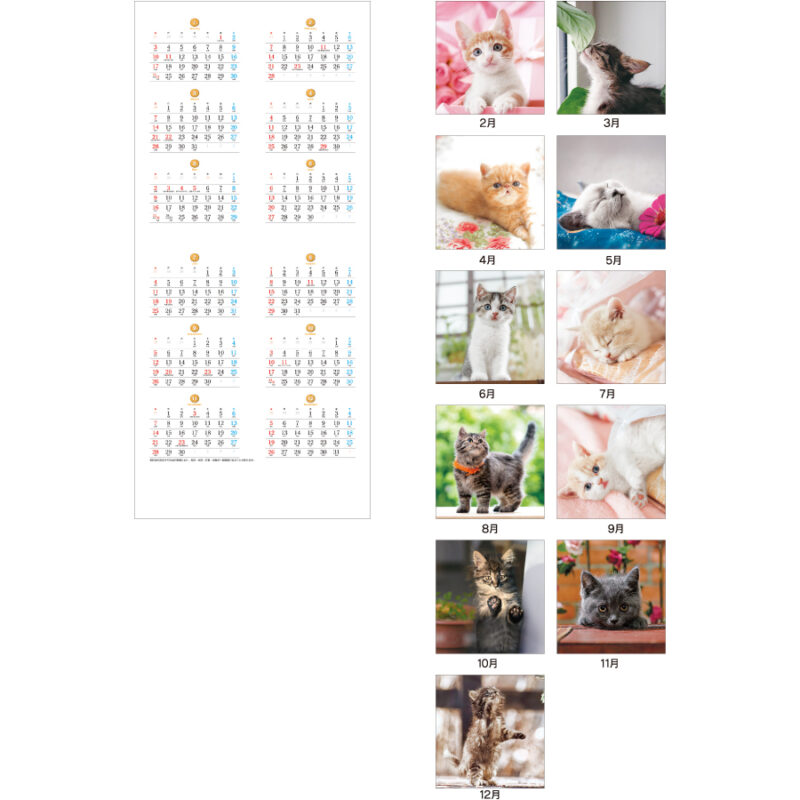 【超早割】THE CATS（3）