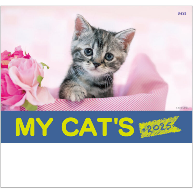マイキャッツ