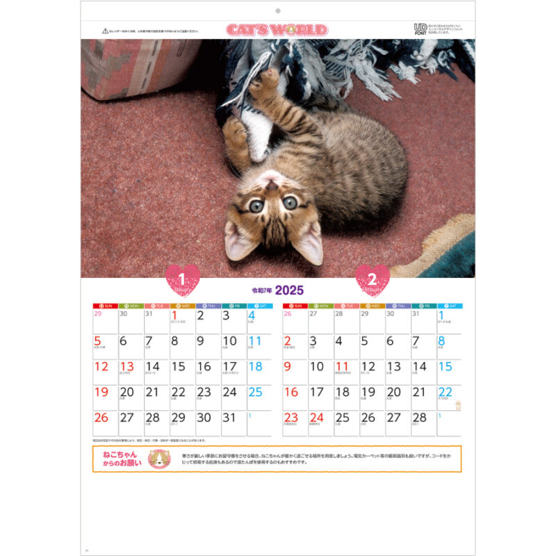 キャッツワールド（2）