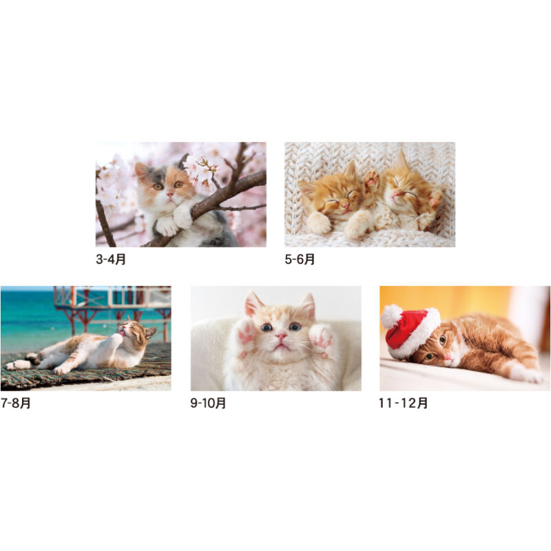 【超早割】キャッツカレンダー（3）
