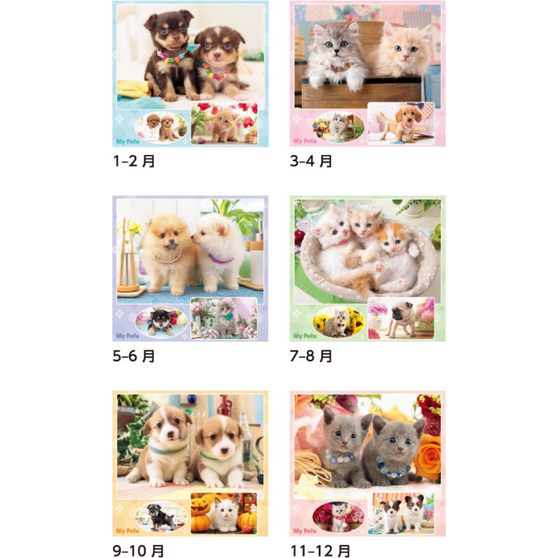 【超早割】マイペット（3）