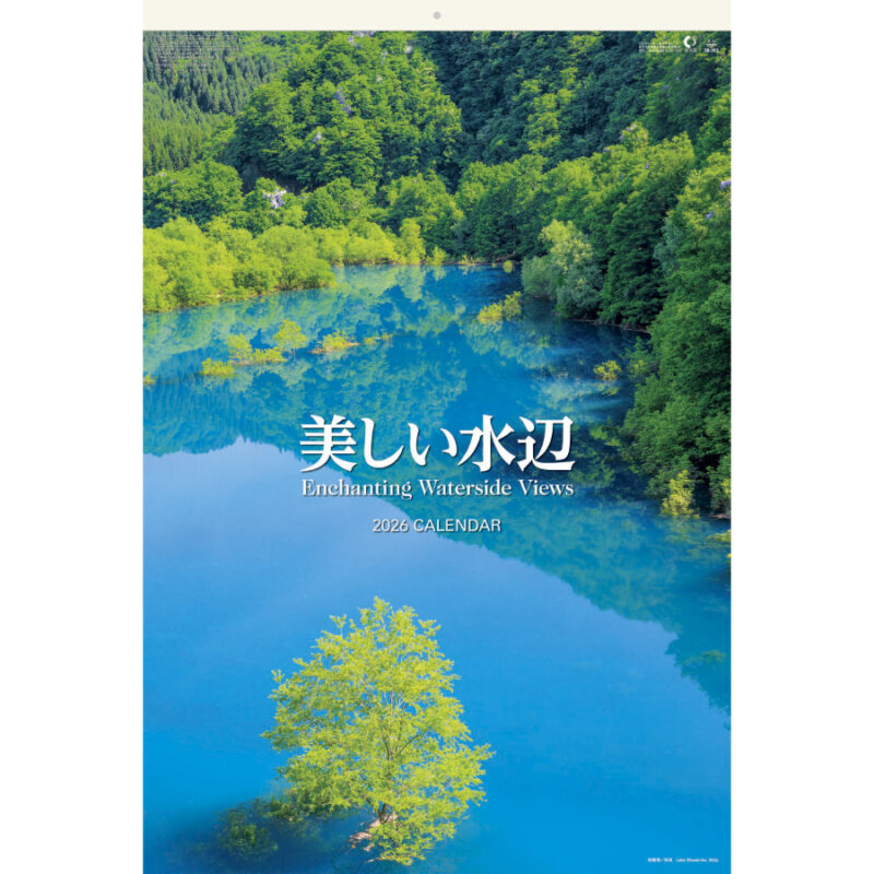 美しい水辺