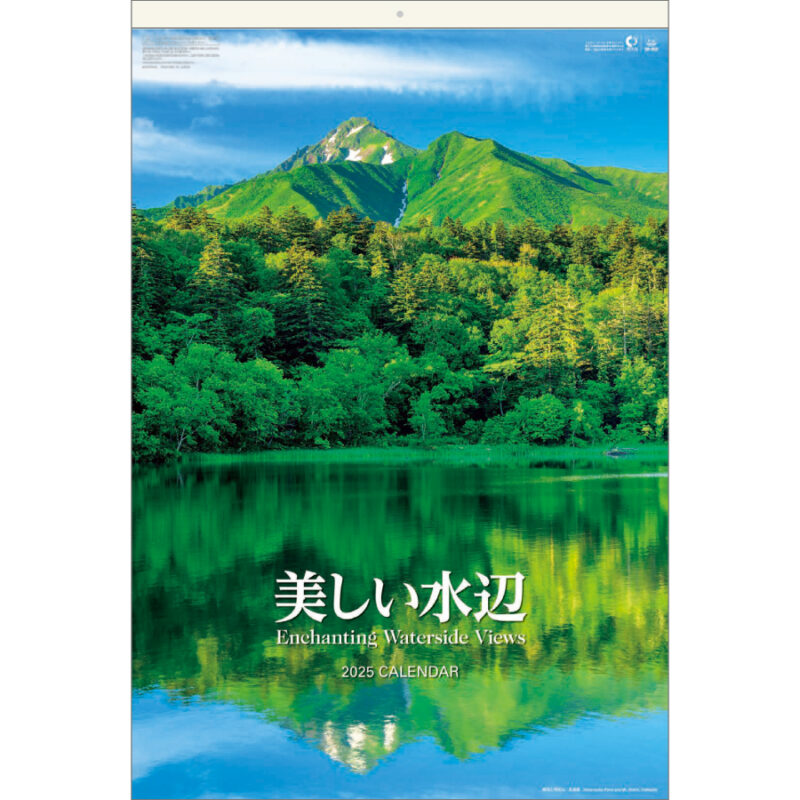 美しい水辺