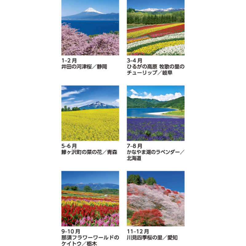 花紀行（3）